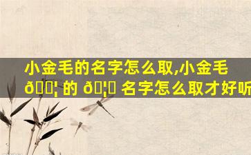 小金毛的名字怎么取,小金毛 🐦 的 🦅 名字怎么取才好听